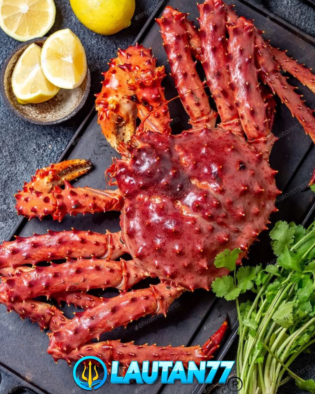 Lautan77 : Mewahnya Cita Rasa King Crab Laut di Meja Kamu